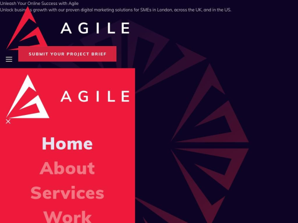 agiledigitalagency.com