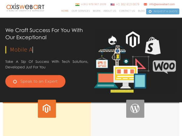 axiswebart.com