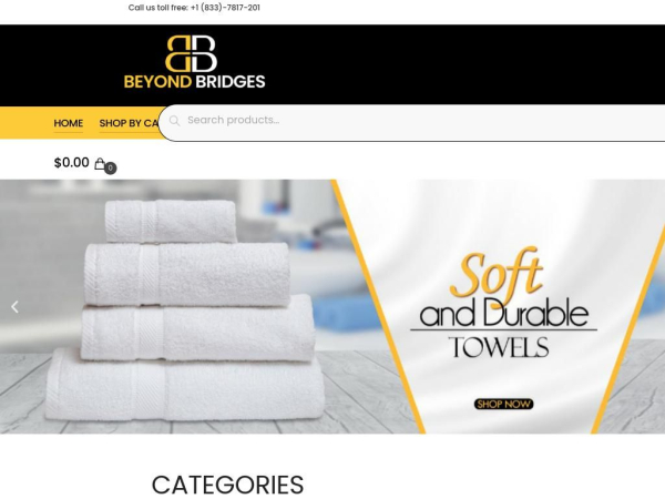 beyondbridgesusa.com
