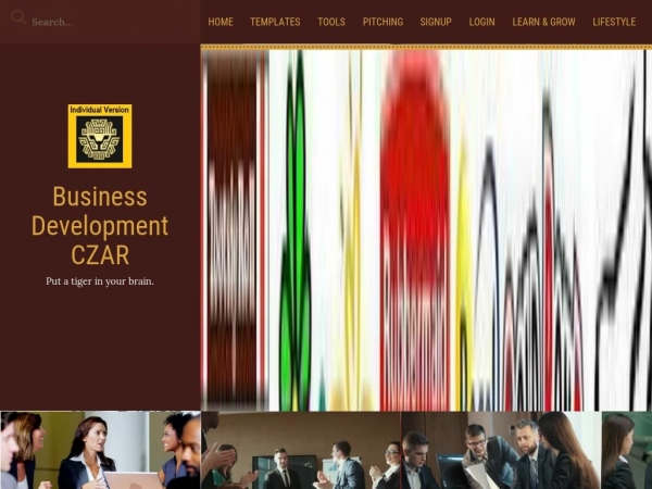 bizdevczar.com