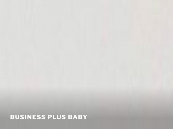 businessplusbaby.com