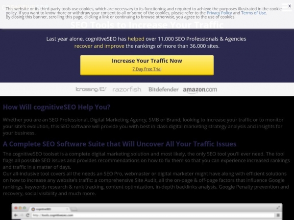 cognitiveseo.com