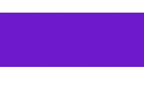 digitalmarketingagencyindia.org