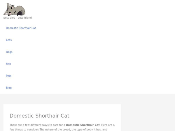 domesticshorthaircat.com