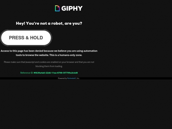 giphy.com