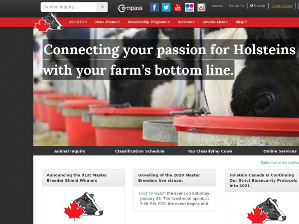 holstein.ca