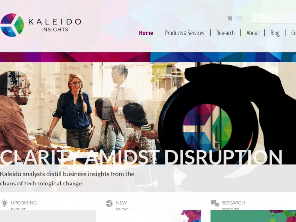 kaleidoinsights.com