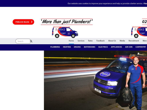 pimlicoplumbers.com