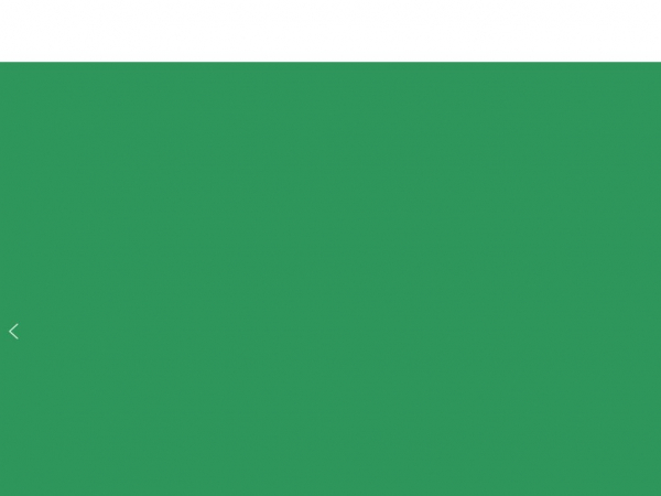 softtechseo.com