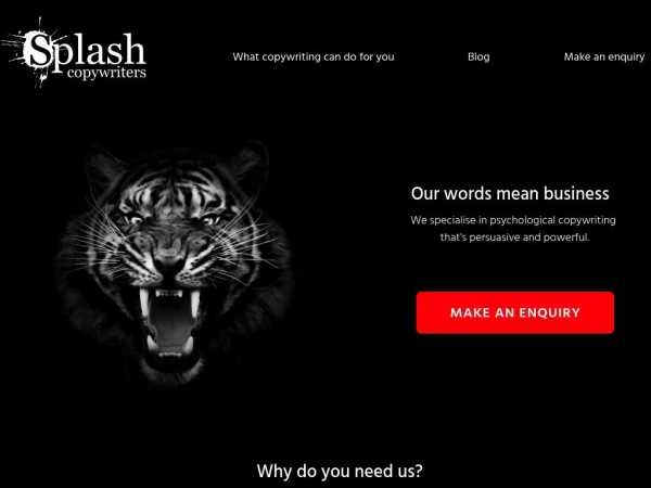 splashcopywriters.com