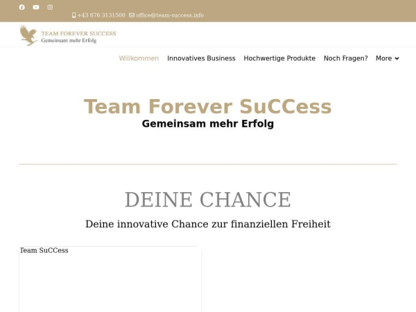 team-success.info