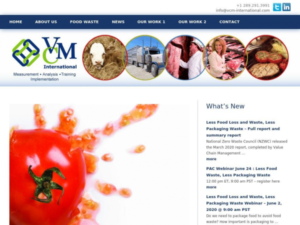 vcm-international.com