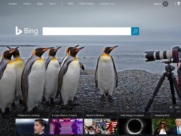 bing.com
