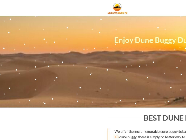 desertbuggys.com