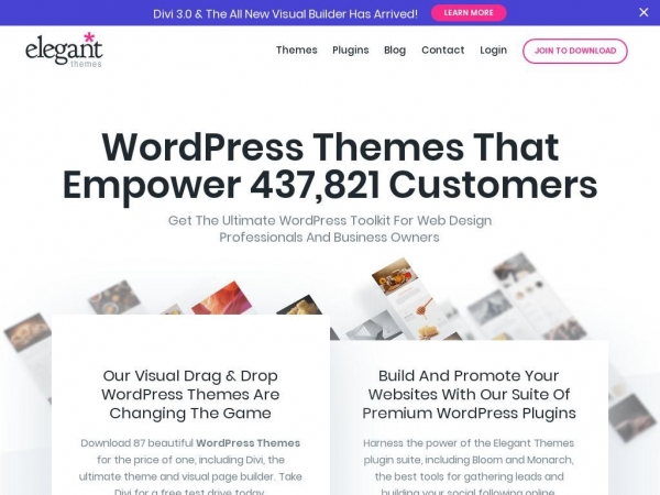 elegantthemes.com