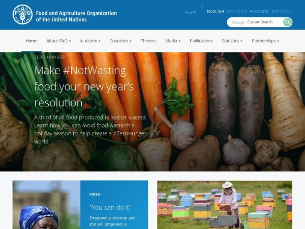 fao.org