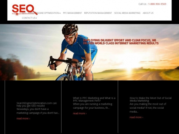 searchengineoptimization.com